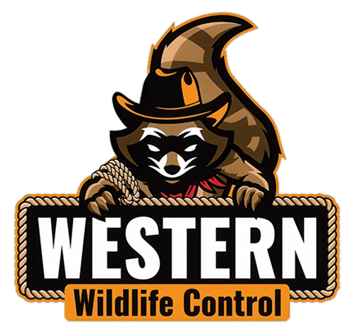 westernlogo