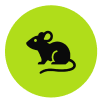Rat & Rodent Controlicon min