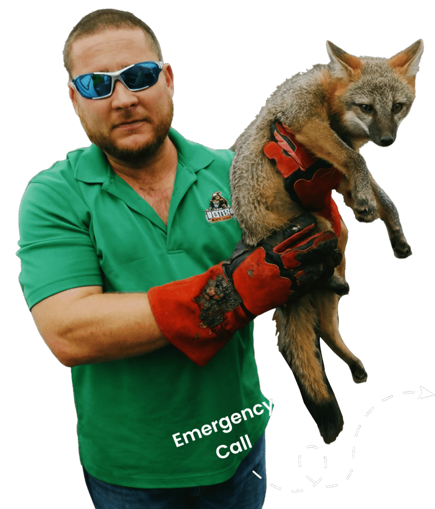 ownerwith pet new min